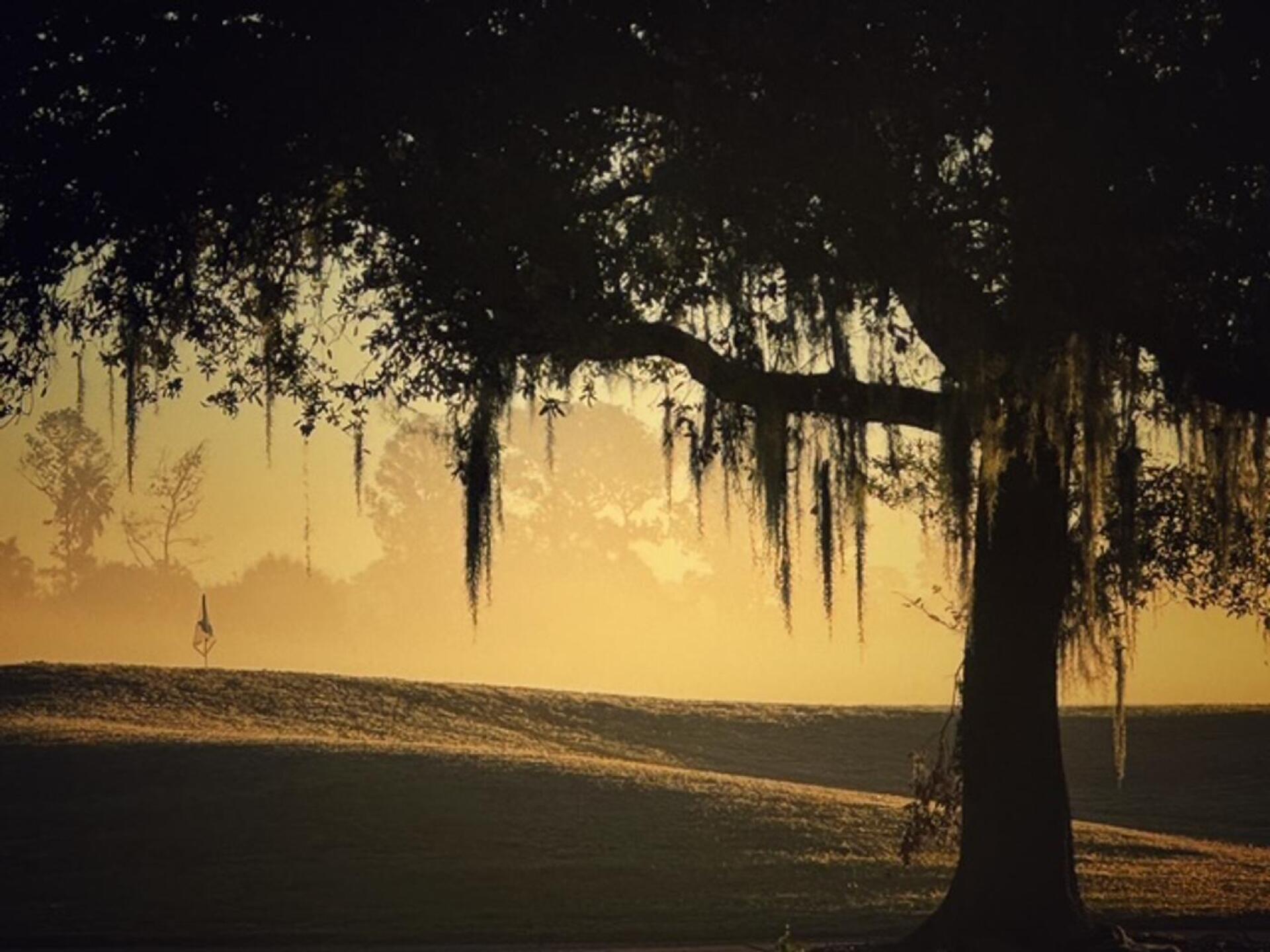 (Photo submitted by MHKIDD on 11/27/2024)