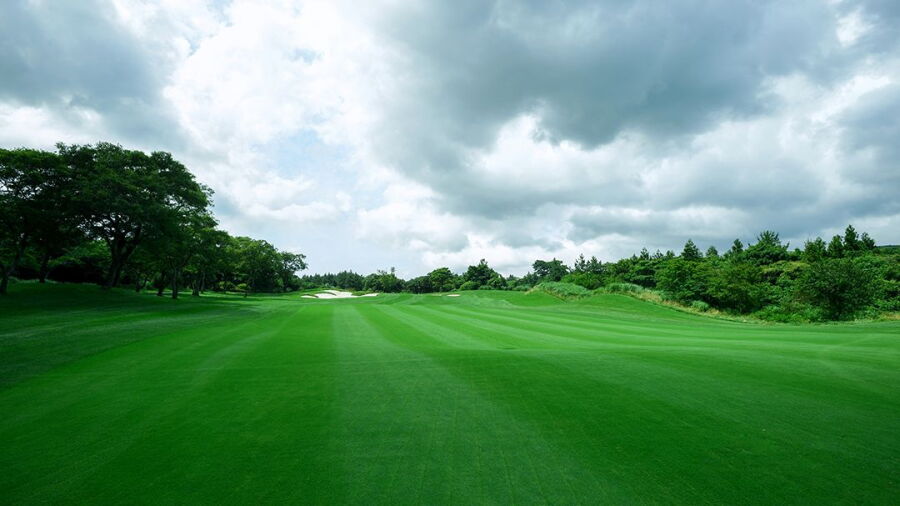 Pinx GC - West: #4