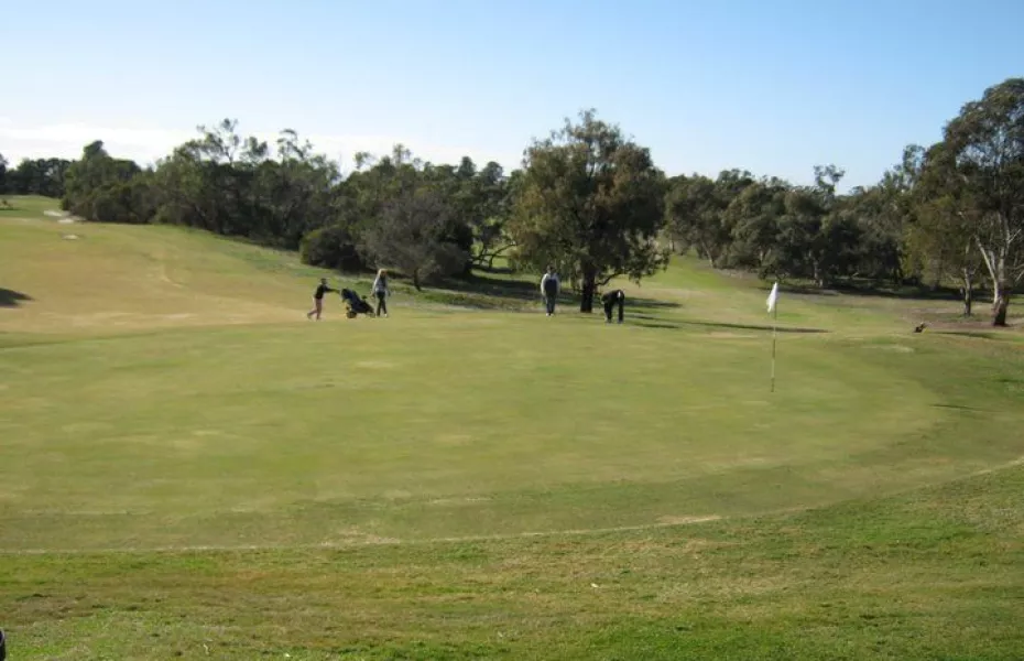 Bordertown GC: #4
