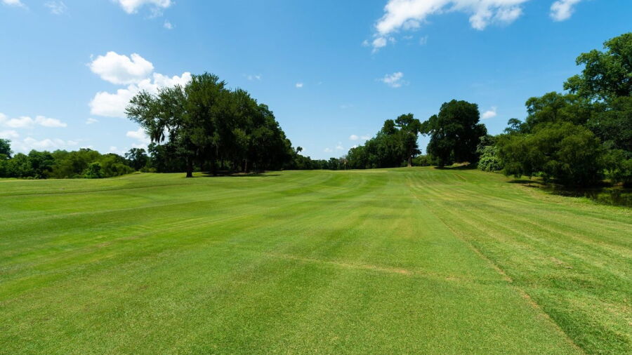 Stephen F. Austin GC: #12
