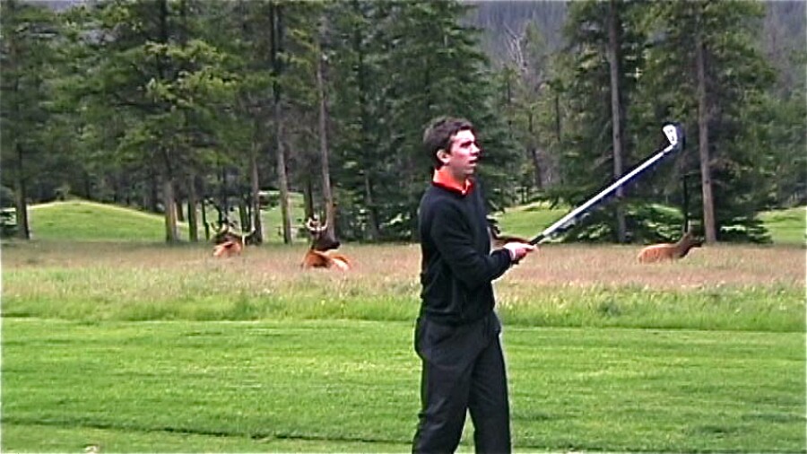 Fairmont Banff Springs golf course - elk