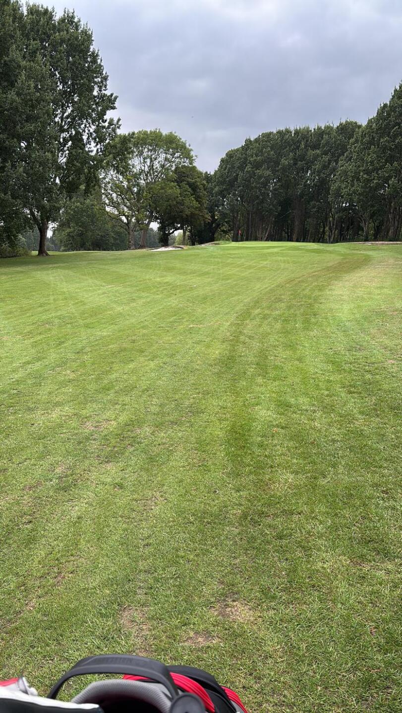 (Photo submitted by u314162689621 on 09/12/2025)