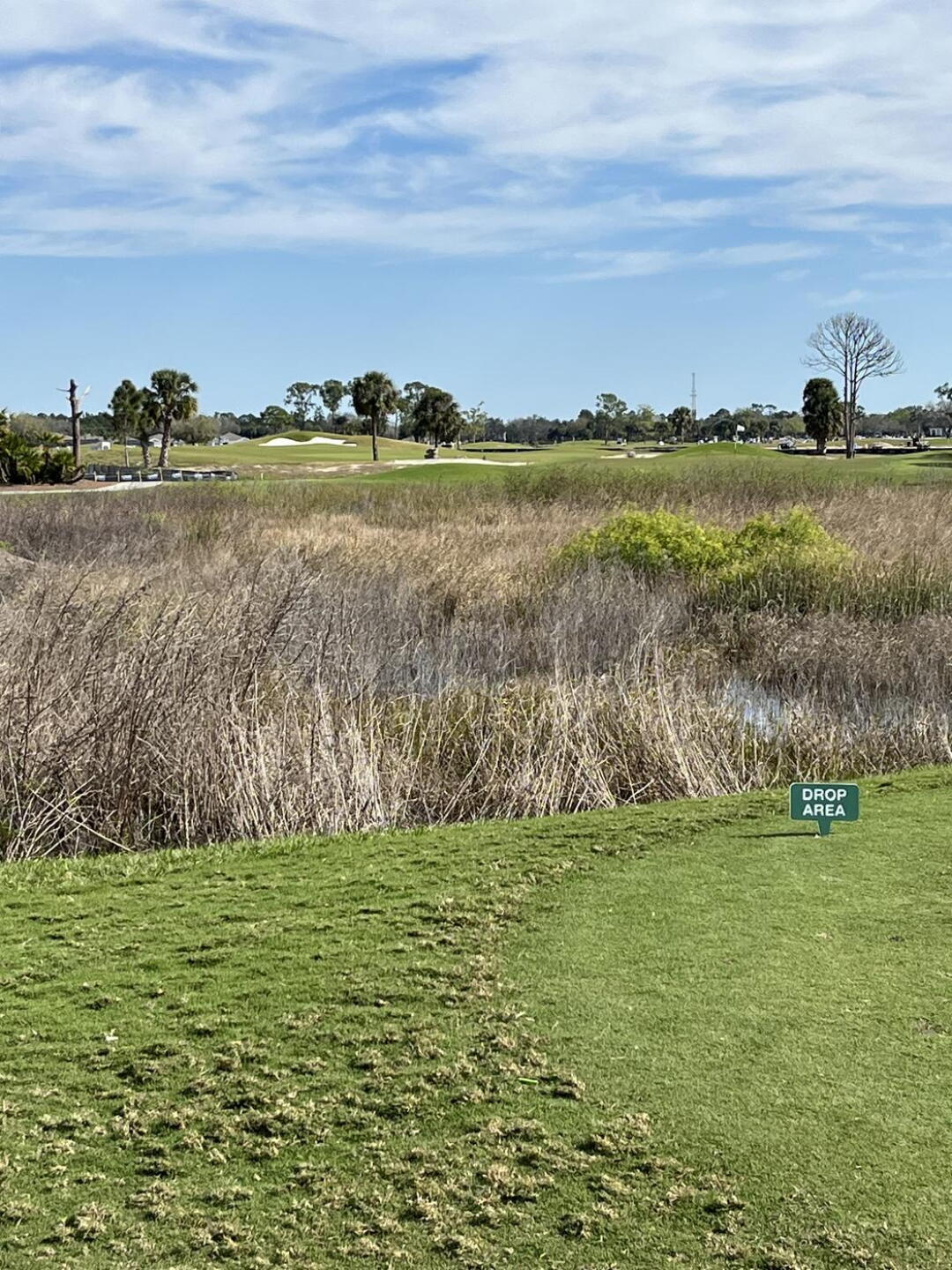 Beautiful par 3 14th hole. (Photo submitted by Bradley7848527 on 02/25/2024)