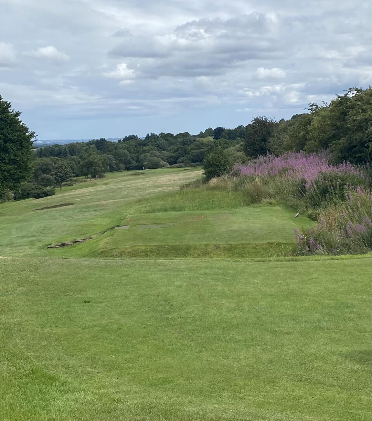 (Photo submitted by t1772141807 on 08/09/2021)