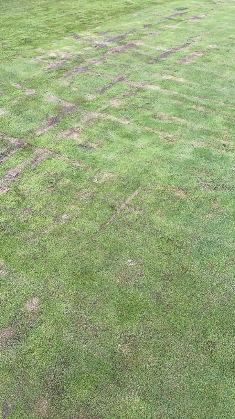 16th green (Photo submitted by jaggyneil on 09/24/2020)