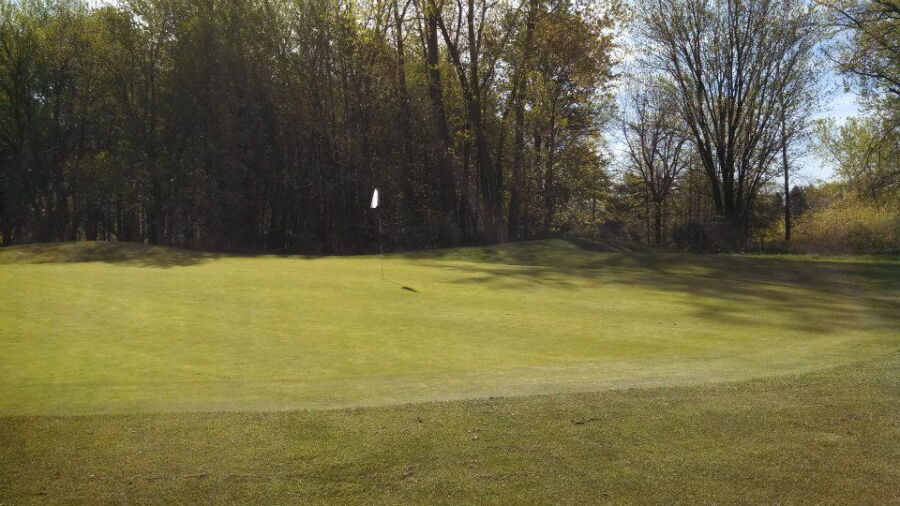 Deerwood GC - Fawn