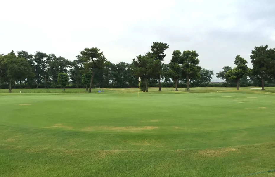 Flower Corridor GC: #5