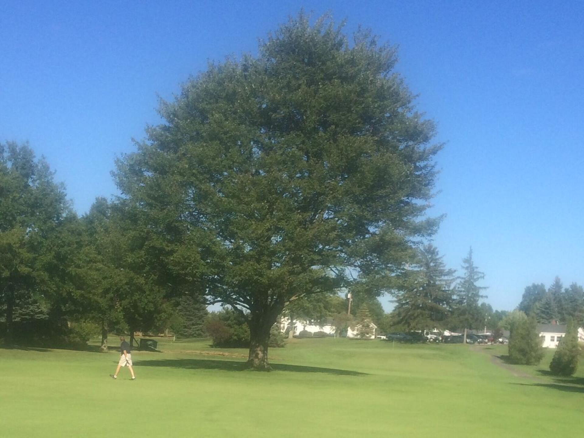 #9 fairway (Photo submitted by u000007501867 on 06/04/2018)