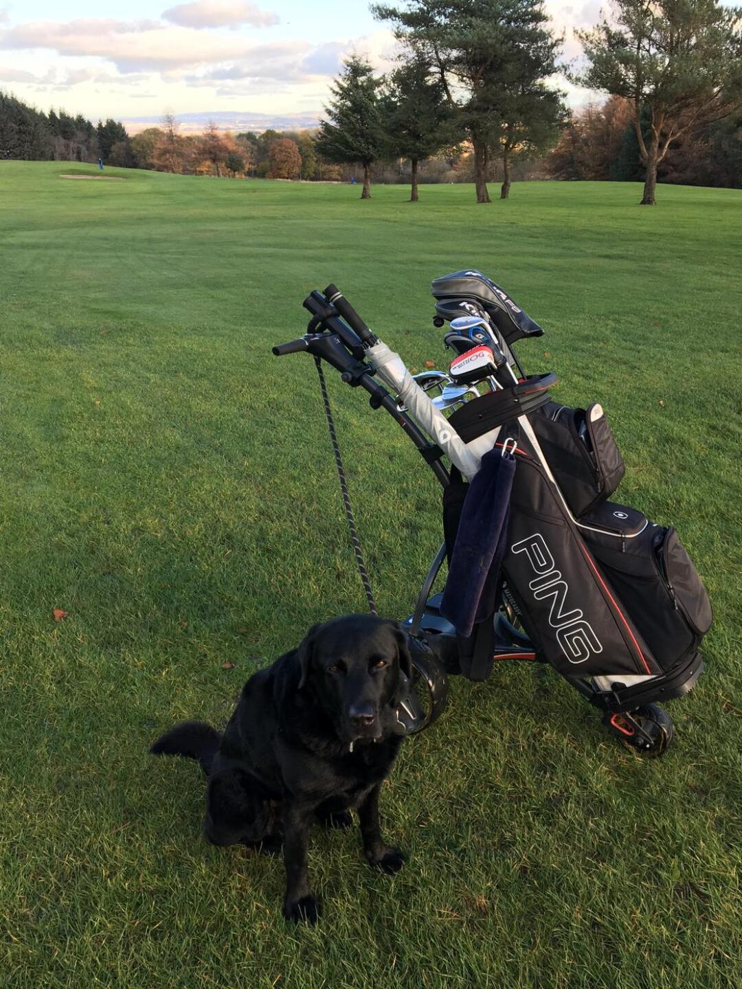 (Photo submitted by u7598333 on 11/15/2021)