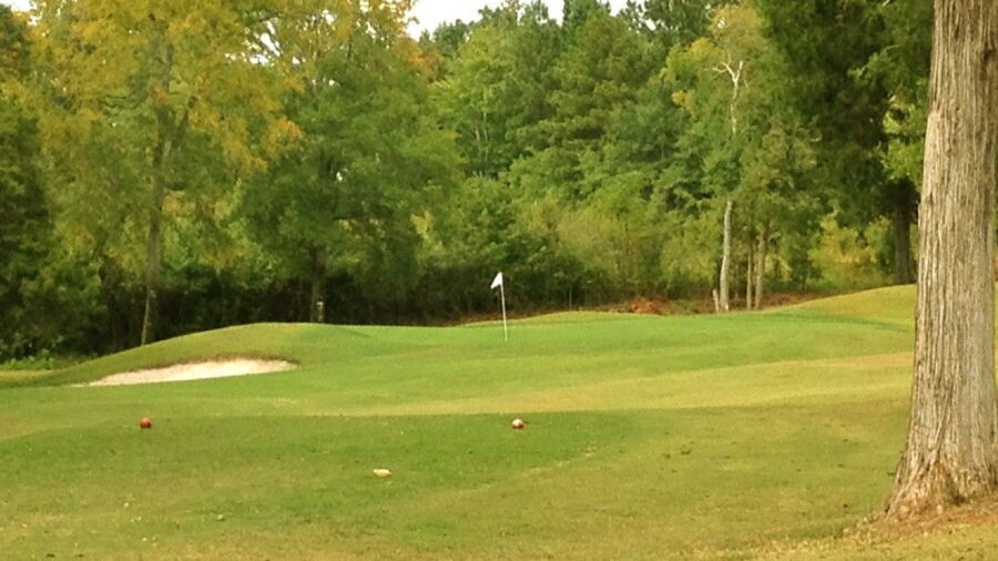 The Fields GC