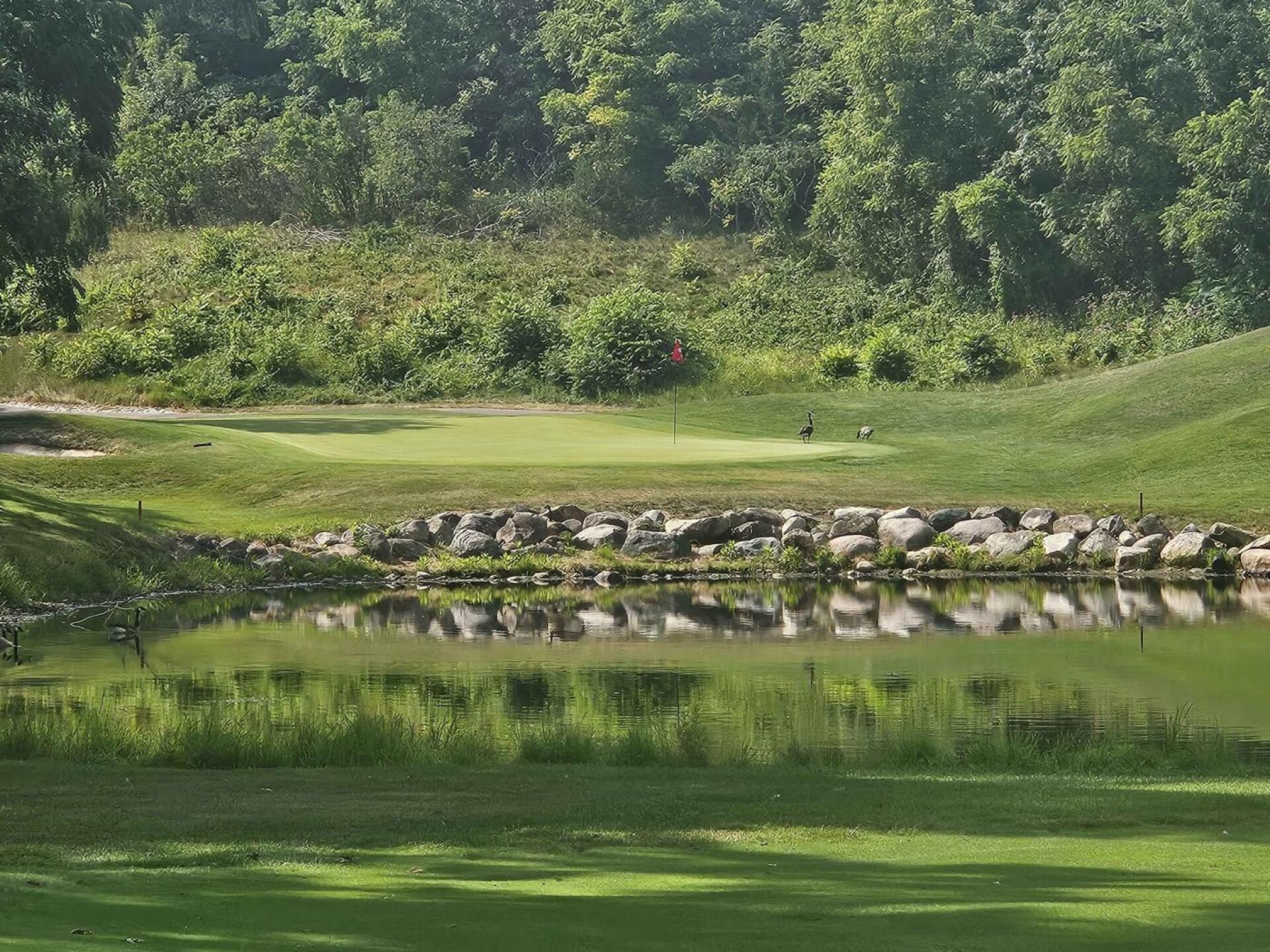 hole 3 approach - difficult green to hit (Photo submitted by u314161622535 on 07/25/2026)