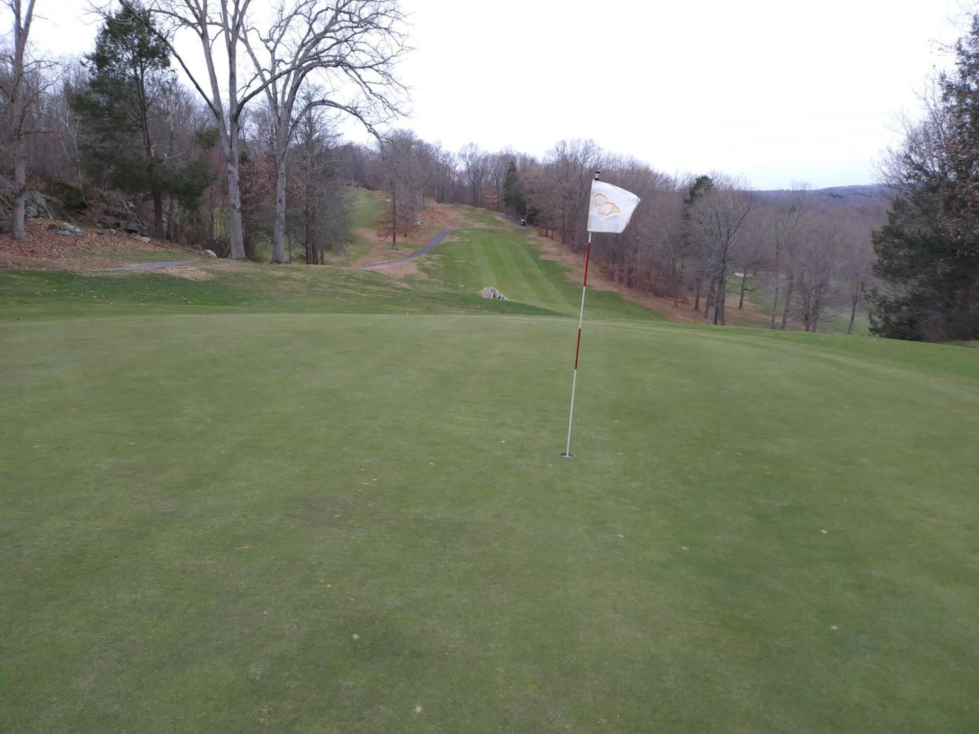 ...Or this hole, as well (nice green, too). (Photo submitted by AptlyLinked on 11/19/2019)