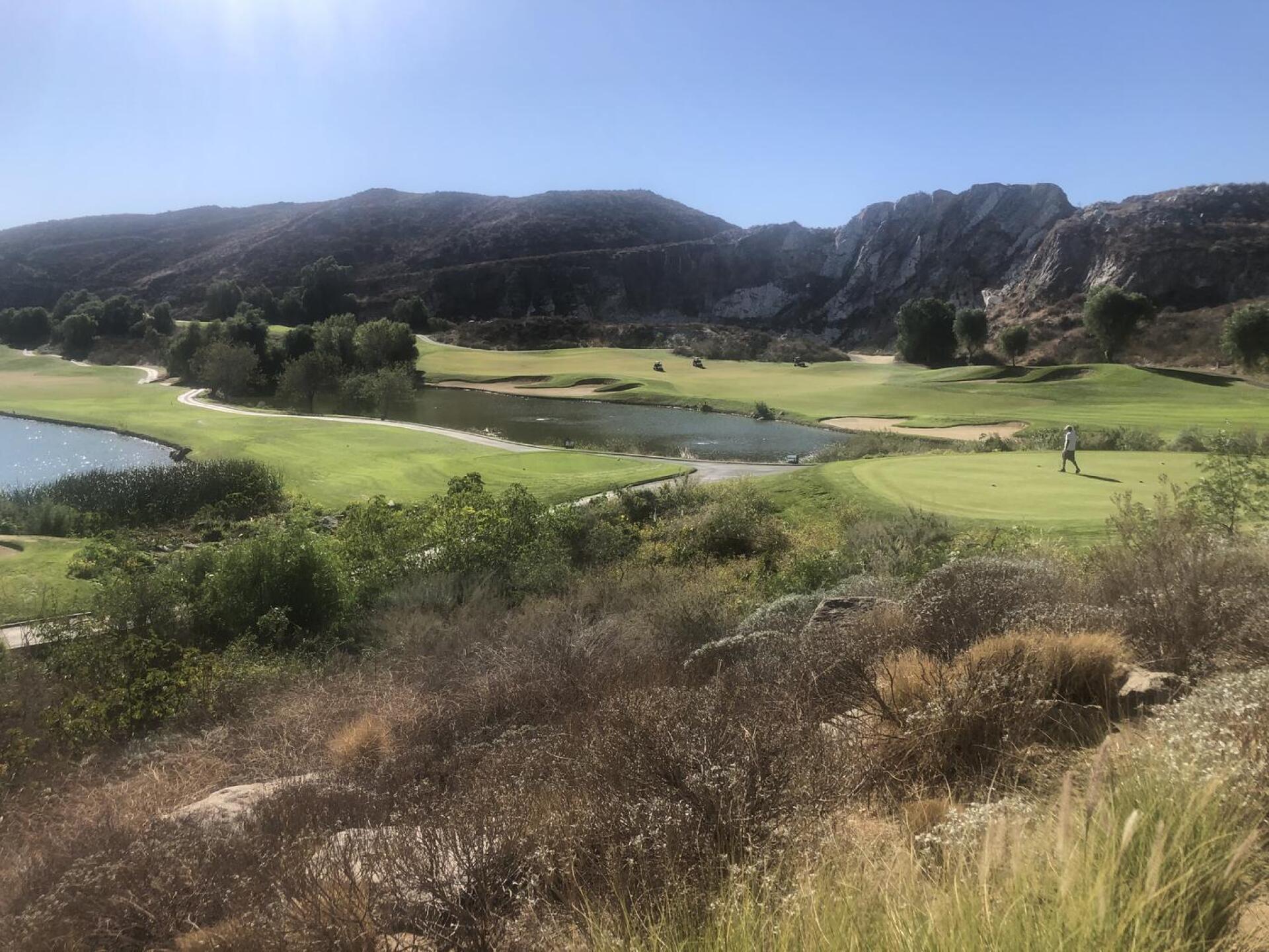 (Photo submitted by Alexreuss on 12/01/2020)