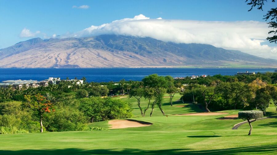 Wailea - Blue #4