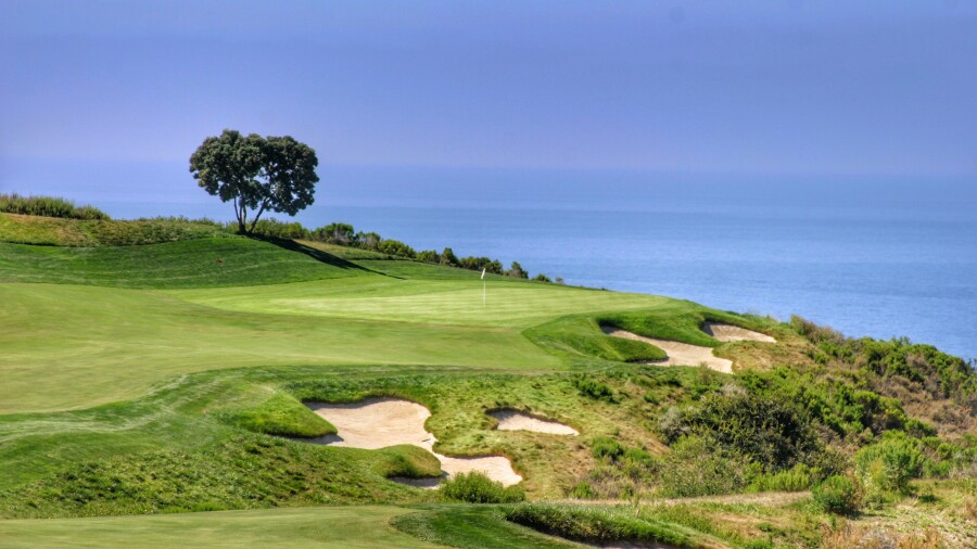 Pelican Hill Golf 