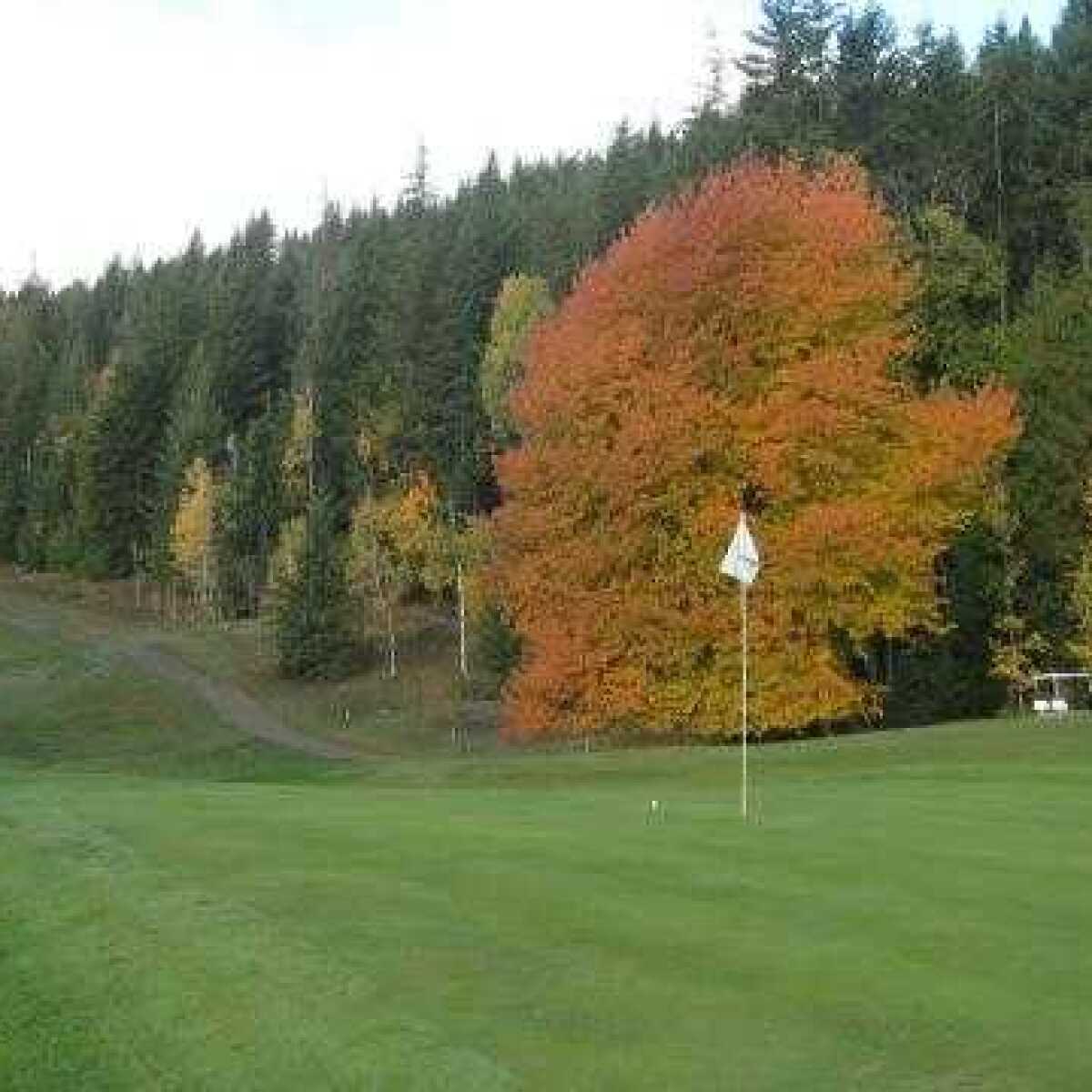 Anglemont Estates Golf Club in Anglemont, British Columbia, Canada