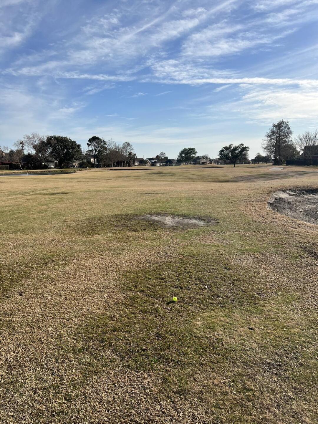 (Photo submitted by u376286054 on 02/01/2025)