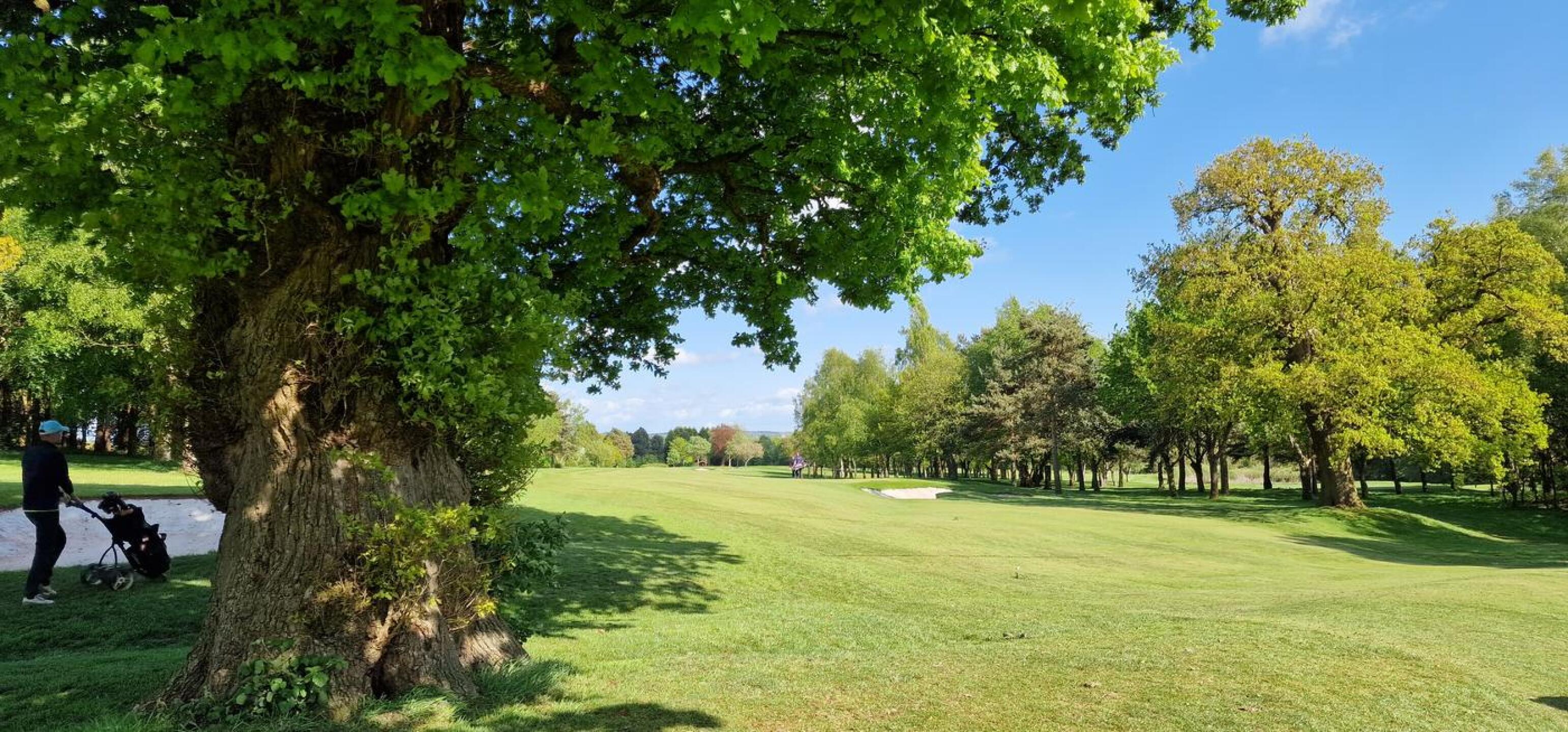 (Photo submitted by u5534487 on 05/17/2023)