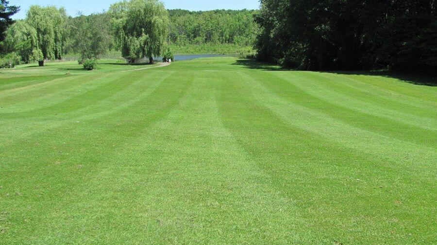 Greenview CC
