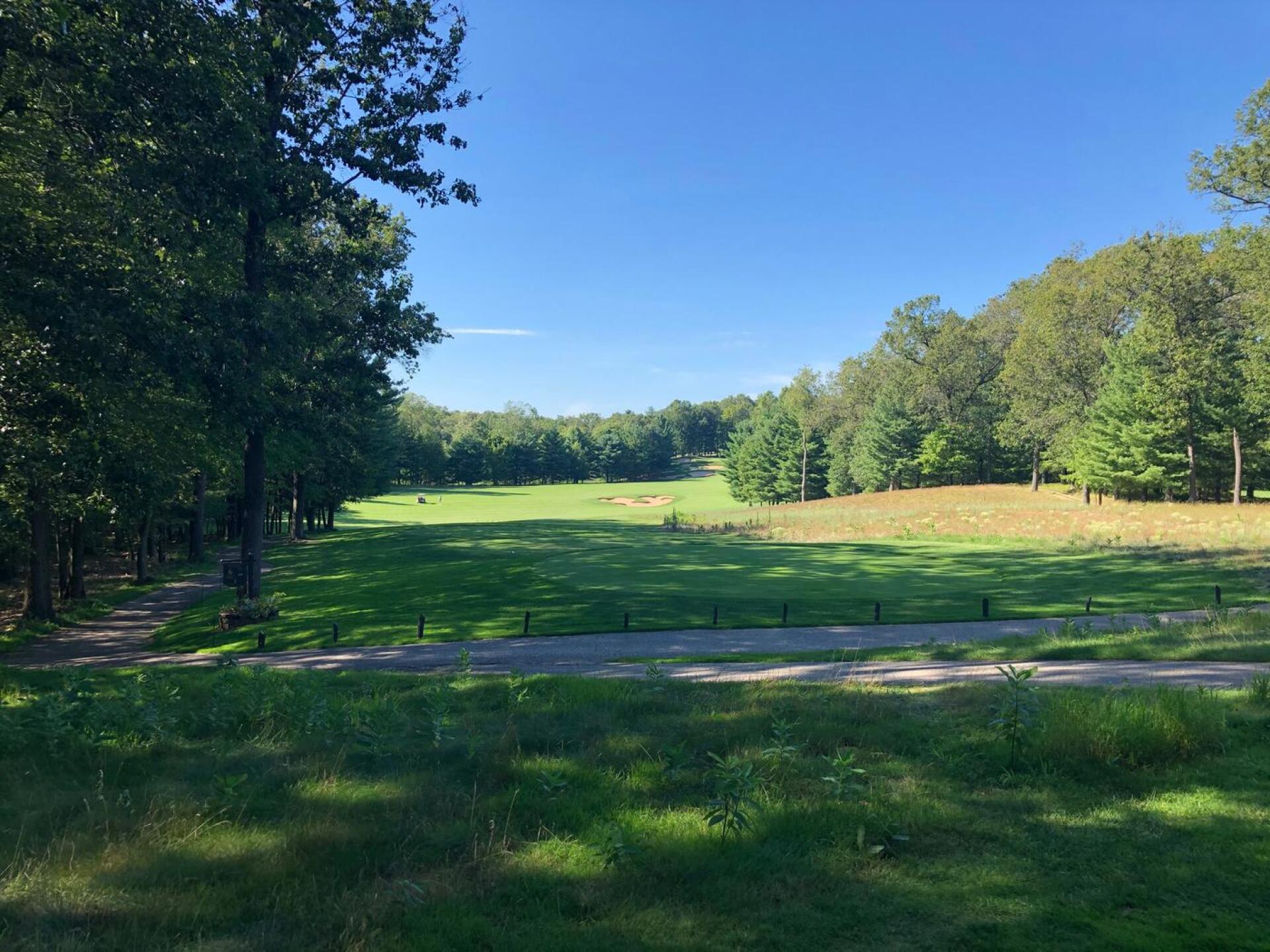 (Photo submitted by nRUbkXz1Jf8Bu6zr37Pj on 08/24/2020)