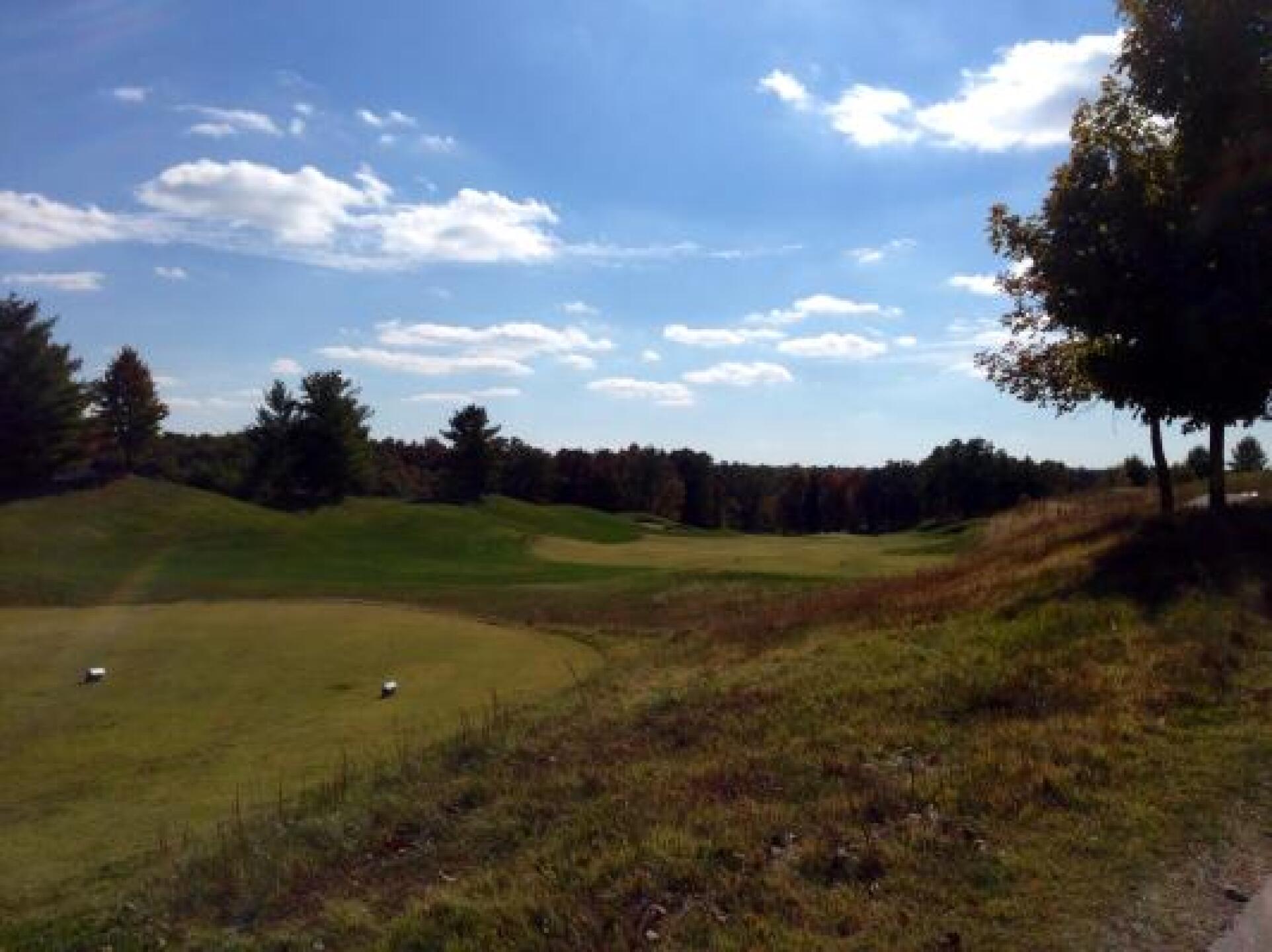 (Photo submitted by photokrohn on 10/24/2013)