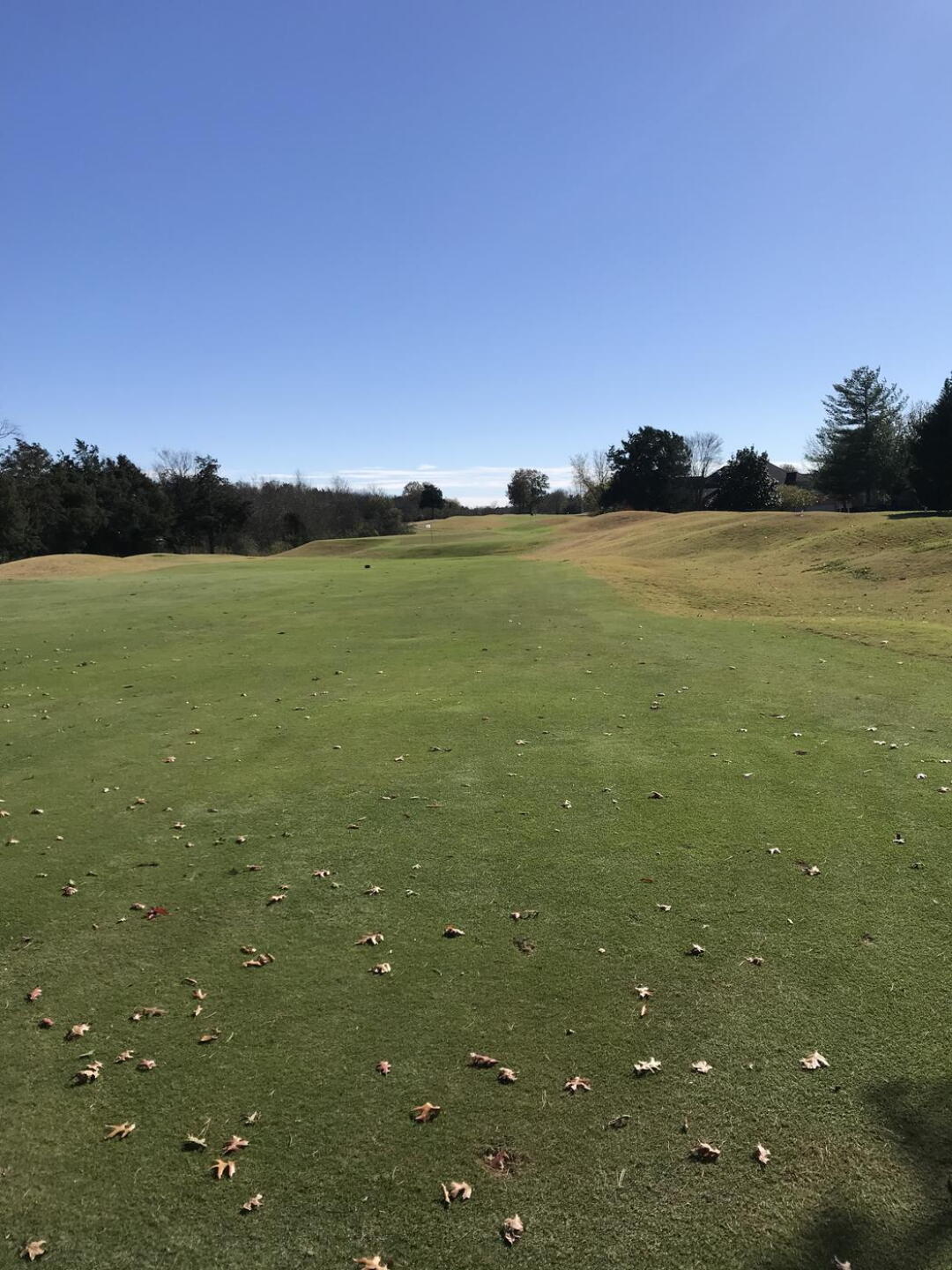#2 fairway (Photo submitted by Jamie6233078 on 11/16/2020)