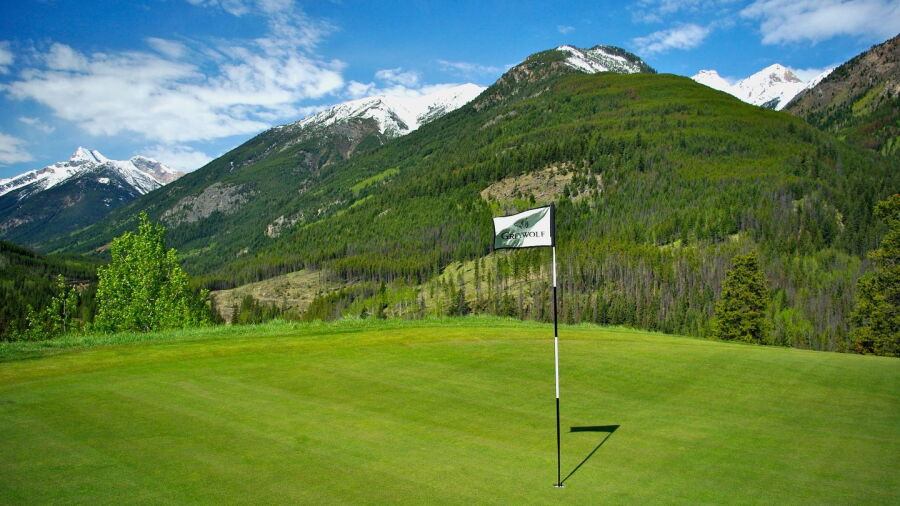 Greywolf GC