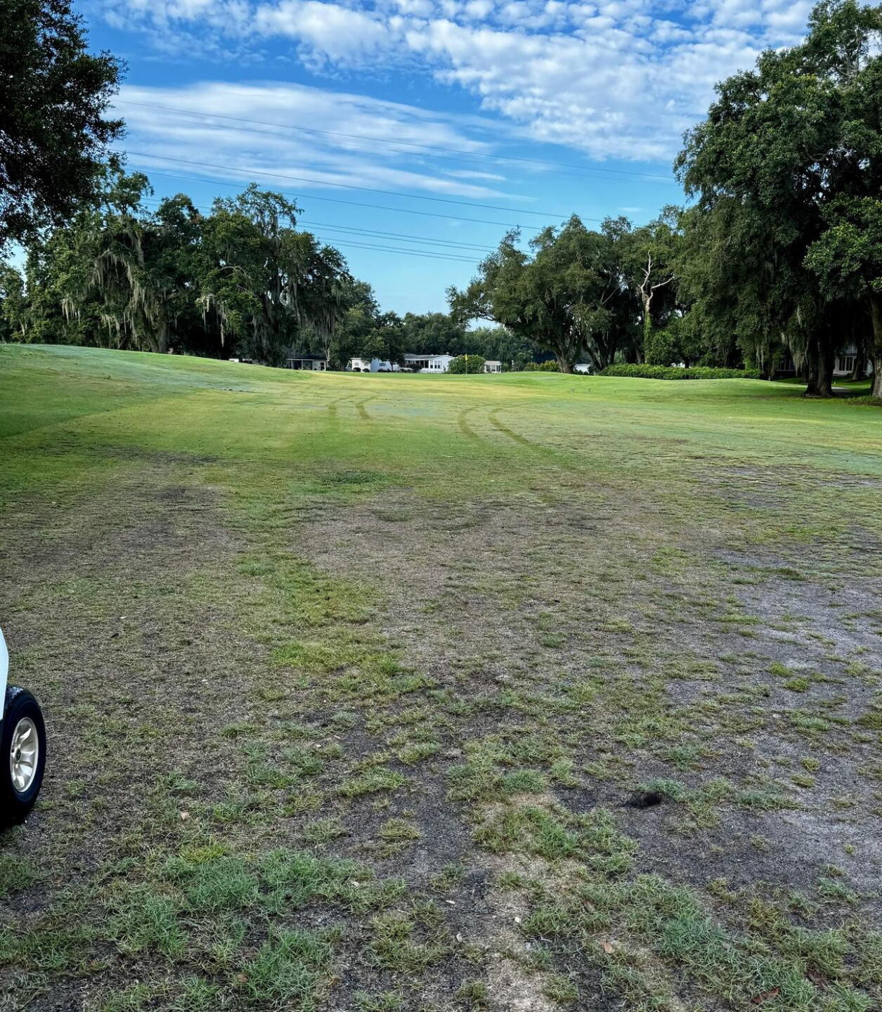 (Photo submitted by Souzafamilygolf on 06/23/2024)