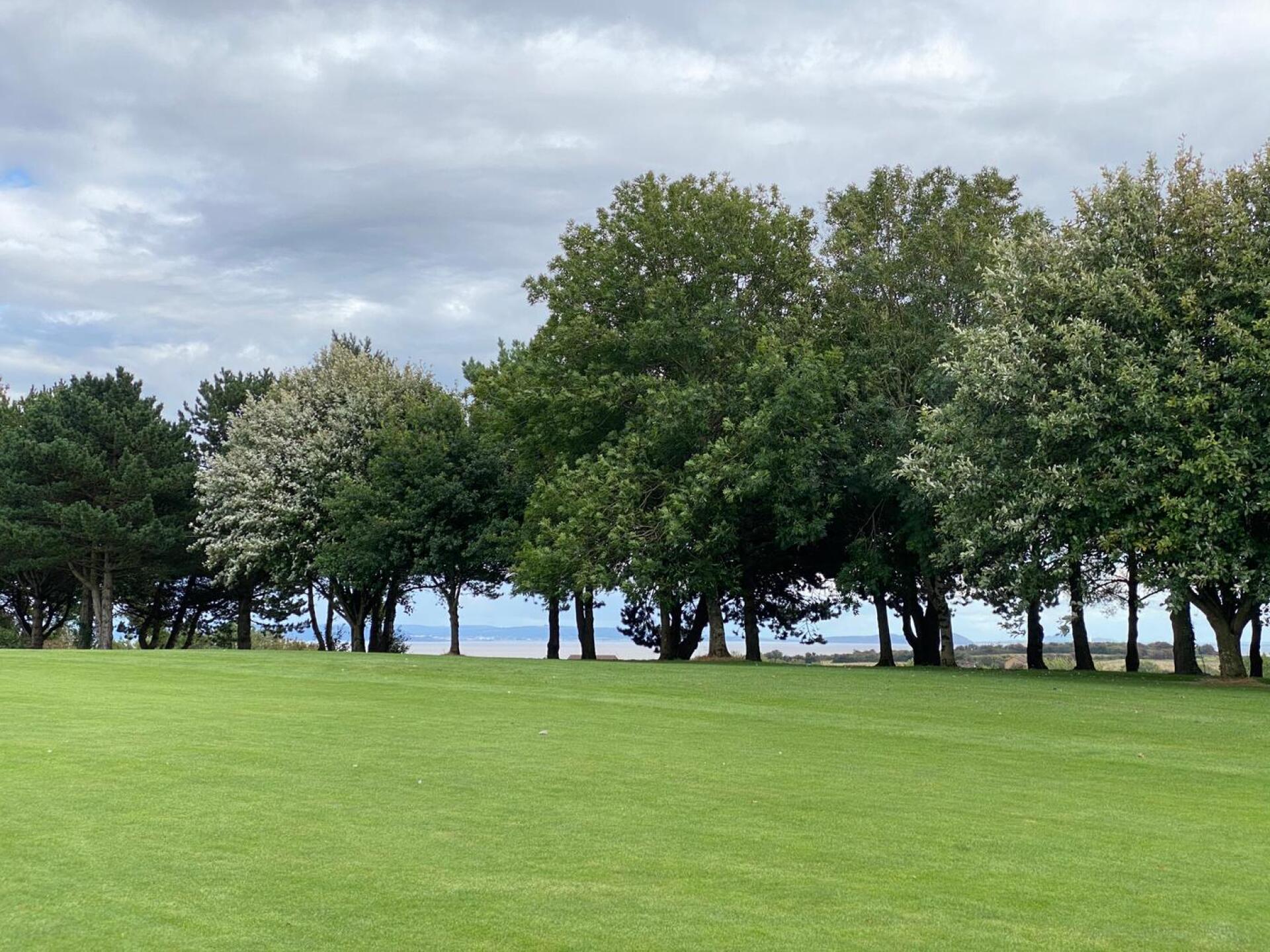 (Photo submitted by u314159379132 on 09/06/2020)