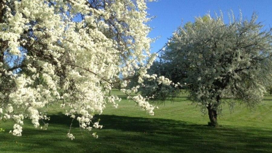 Oneida Community GC