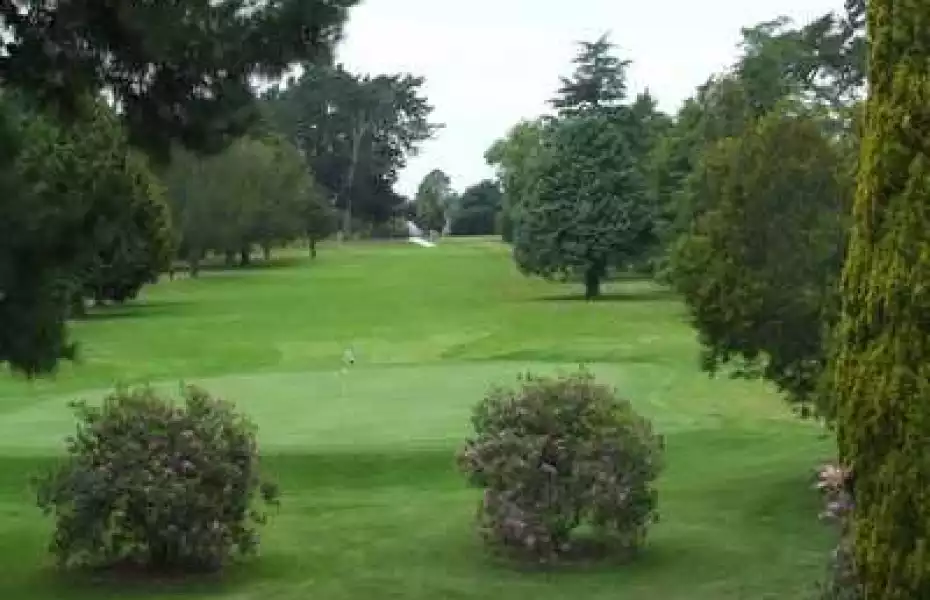 Napier GC: #8