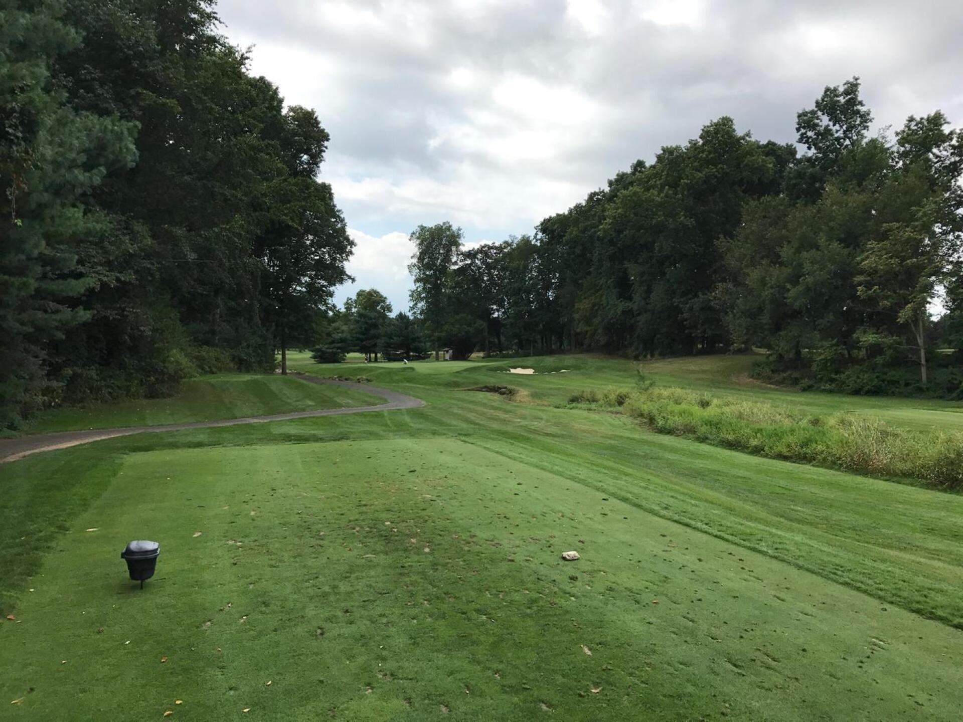 Par 3 Fourteenth, slightly uphill over a creek. hard to see back half of the green. (Photo submitted by carolinadad on 08/28/2017)