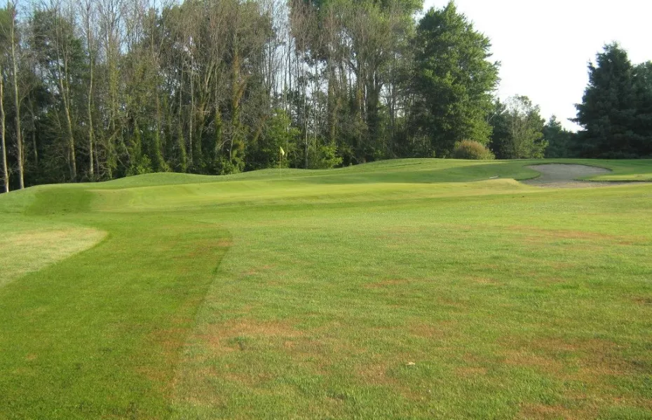 Dutton Meadows GC: #5