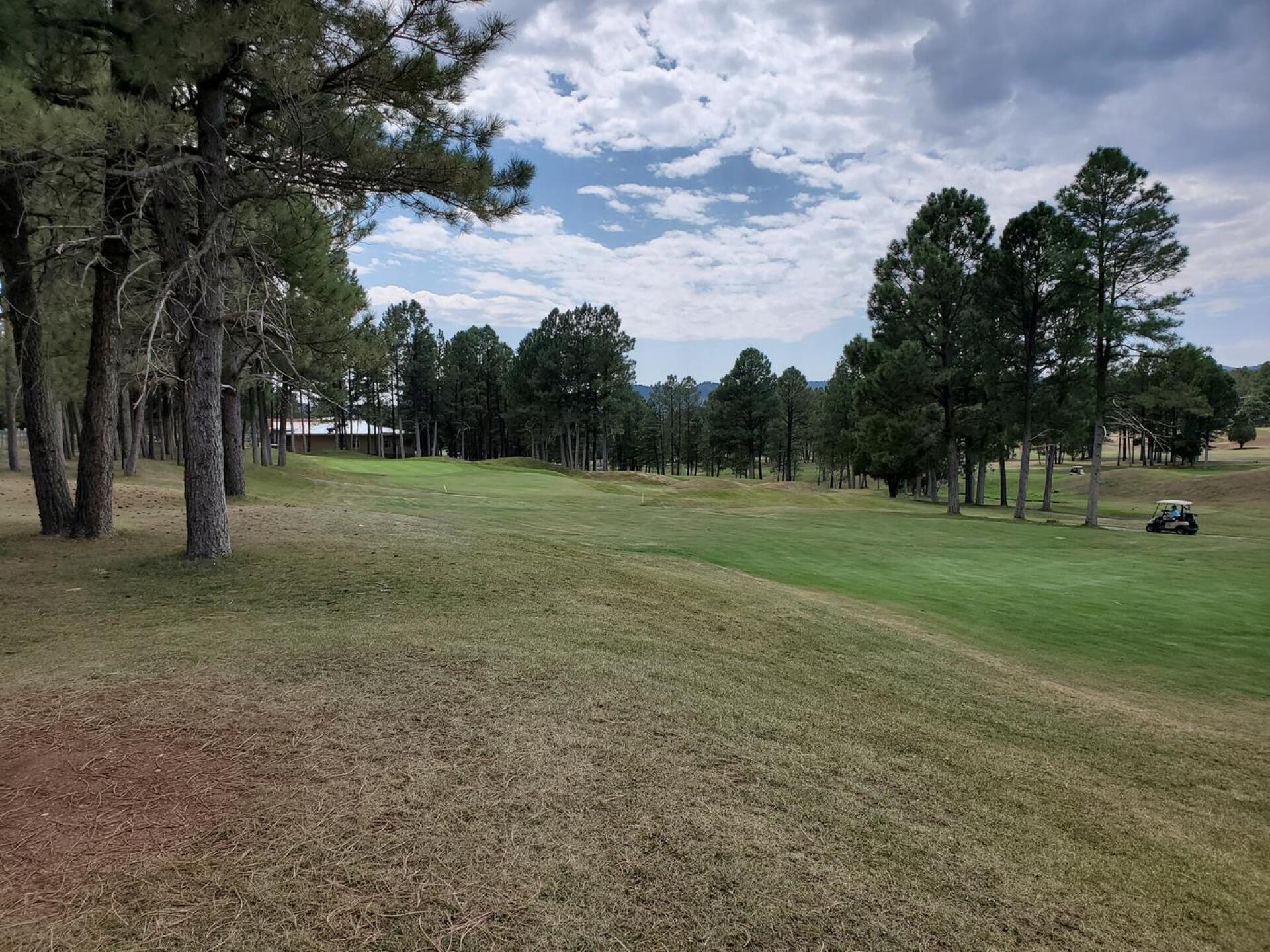 (Photo submitted by warfx on 09/07/2020)