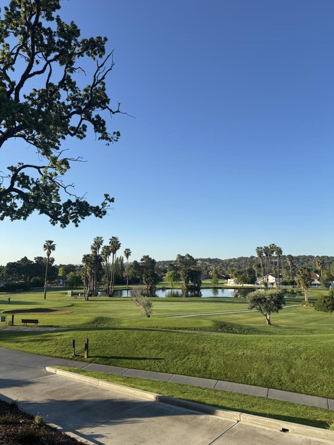 (Photo submitted by u314161966005 on 05/09/2025)