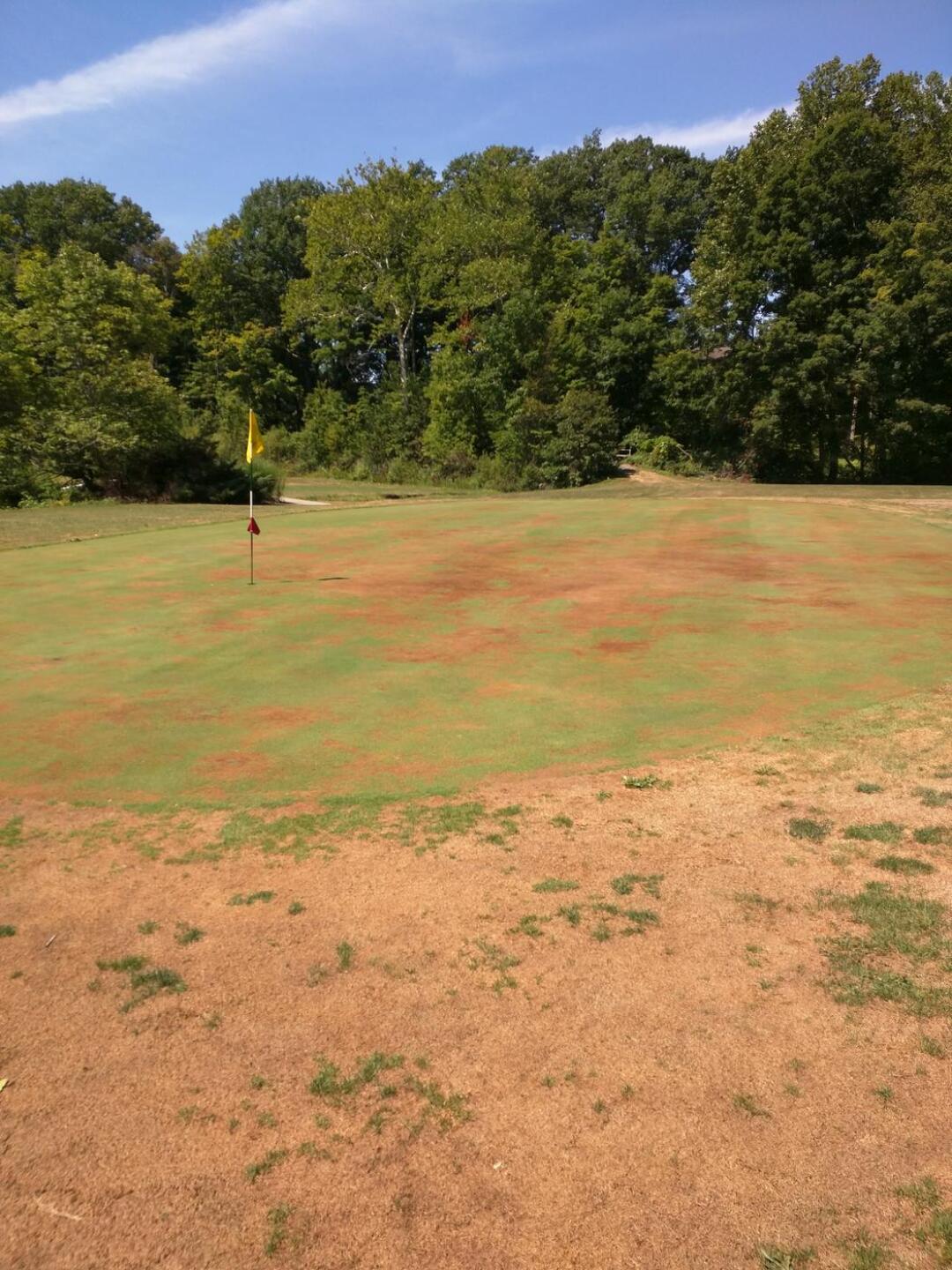 (Photo submitted by momentum300 on 08/10/2015)