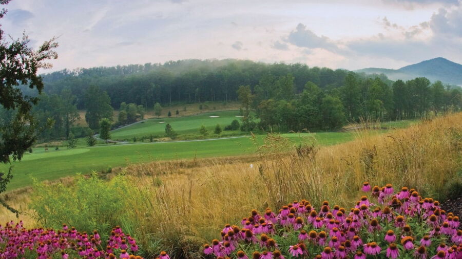 The Cliffs At Walnut Cove