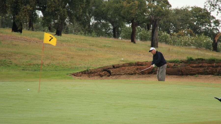 Parraluz Golf: #7