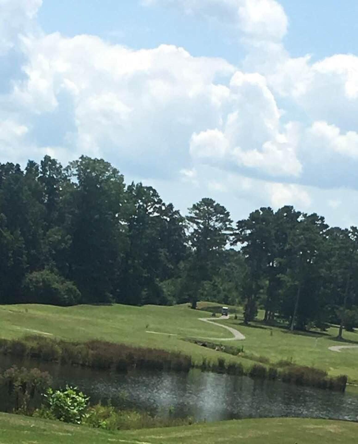 (Photo submitted by Vrtkp3VZgua0MSTIwEMi on 07/31/2019)