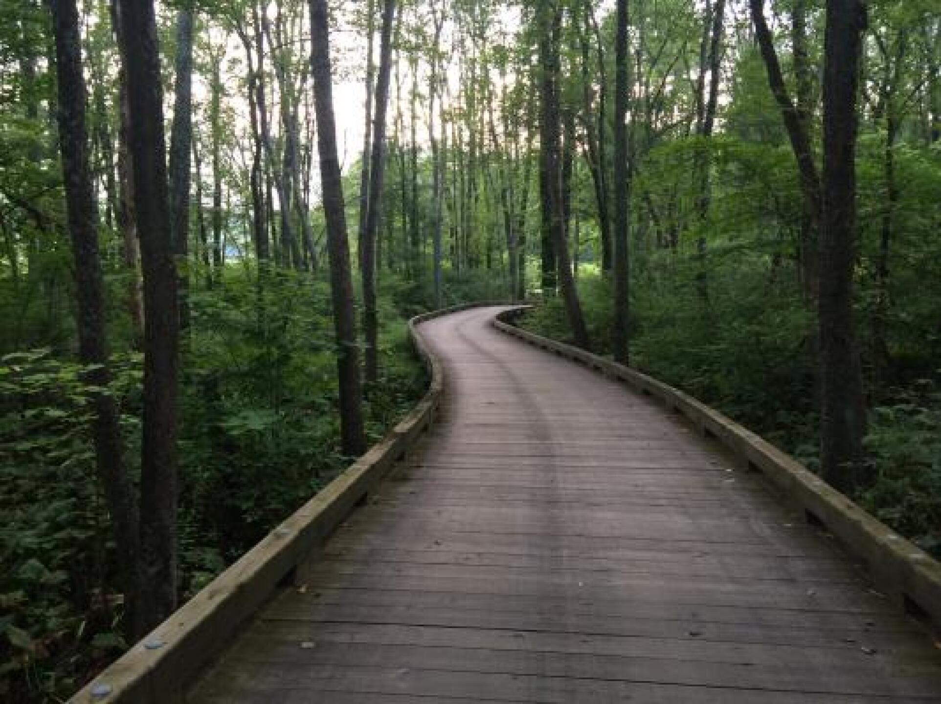 Beautiful approach over wetlands to the #17 par 3 (Photo submitted by mausmaus on 08/03/2014)
