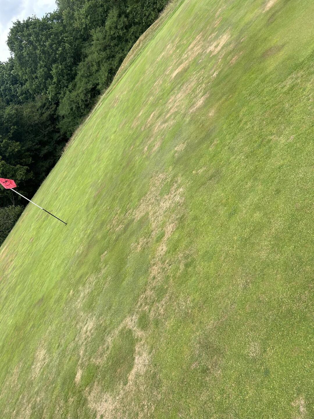 (Photo submitted by Laingy95 on 06/26/2023)