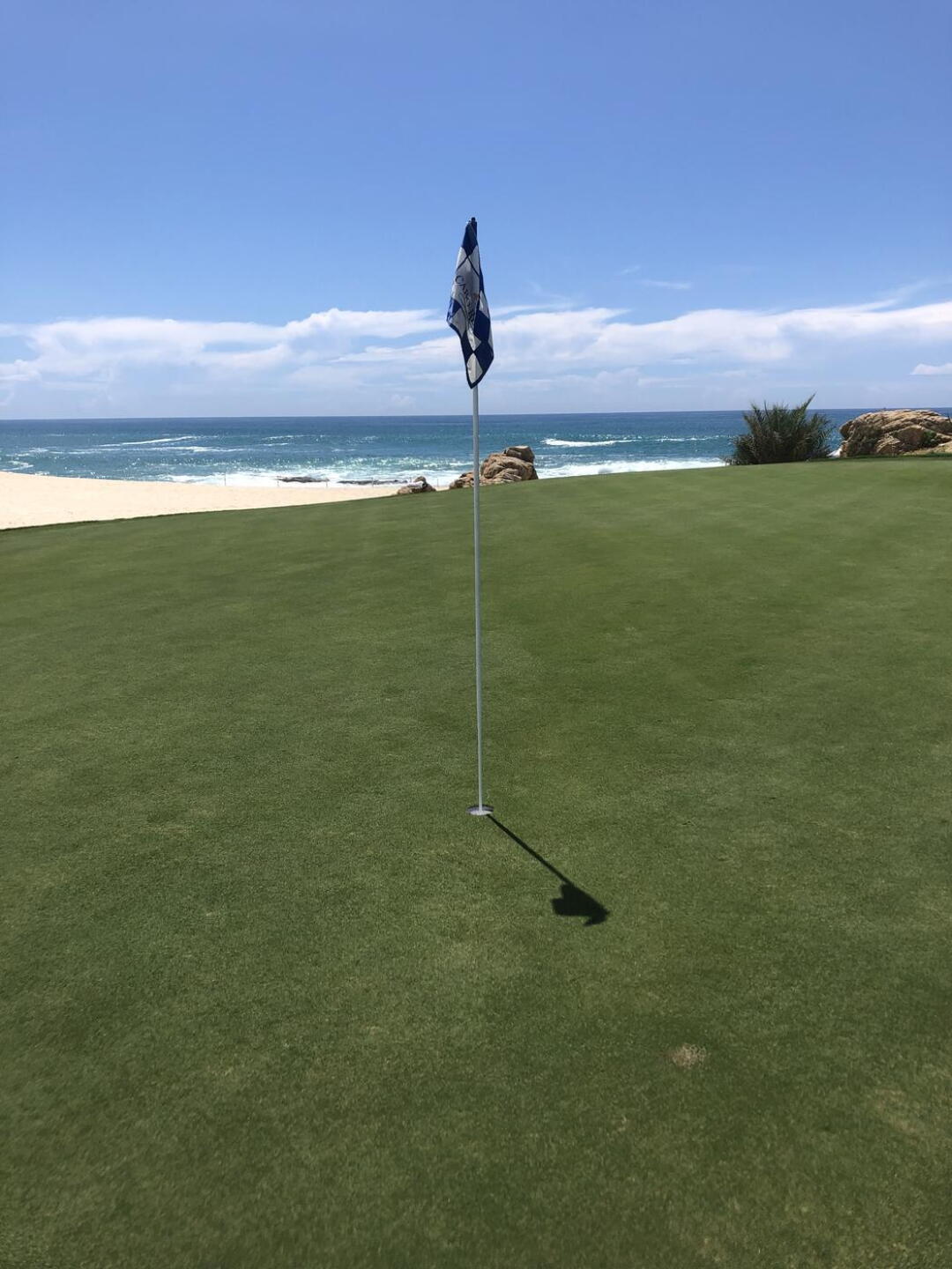 #5 (Photo submitted by Primetimegolf on 08/20/2022)