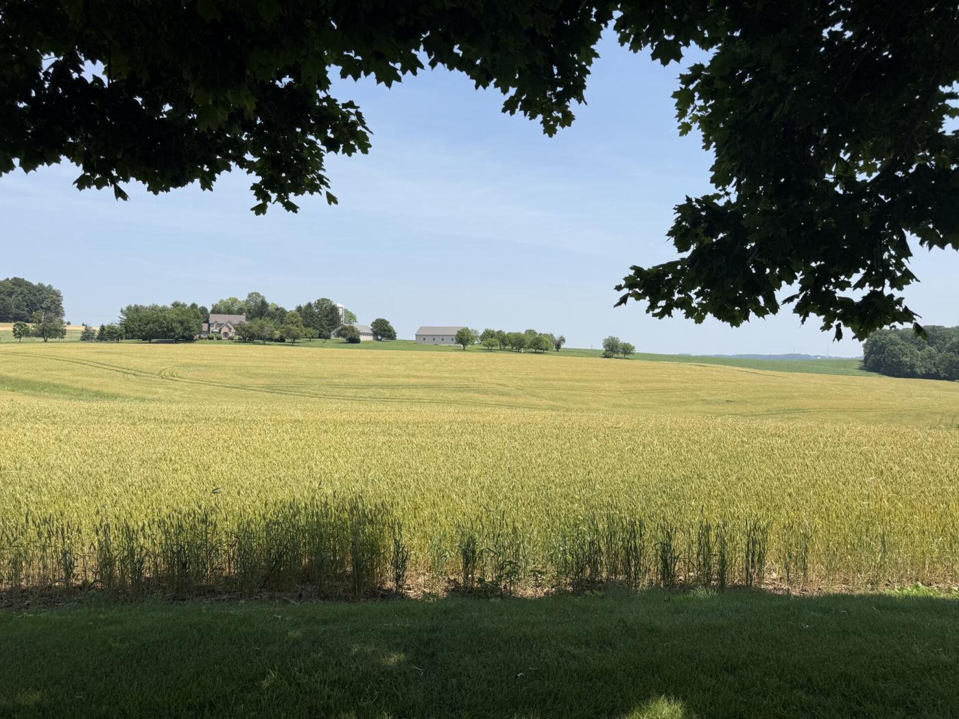 (Photo submitted by Sticktail4001 on 06/14/2025)