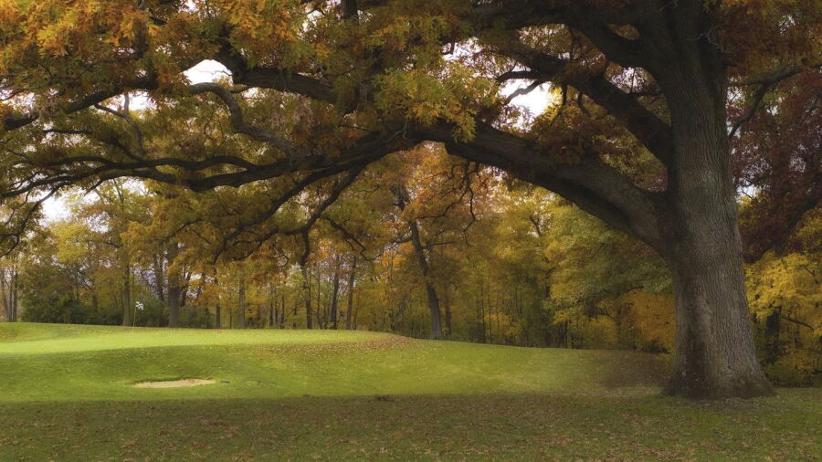 Monticello GC