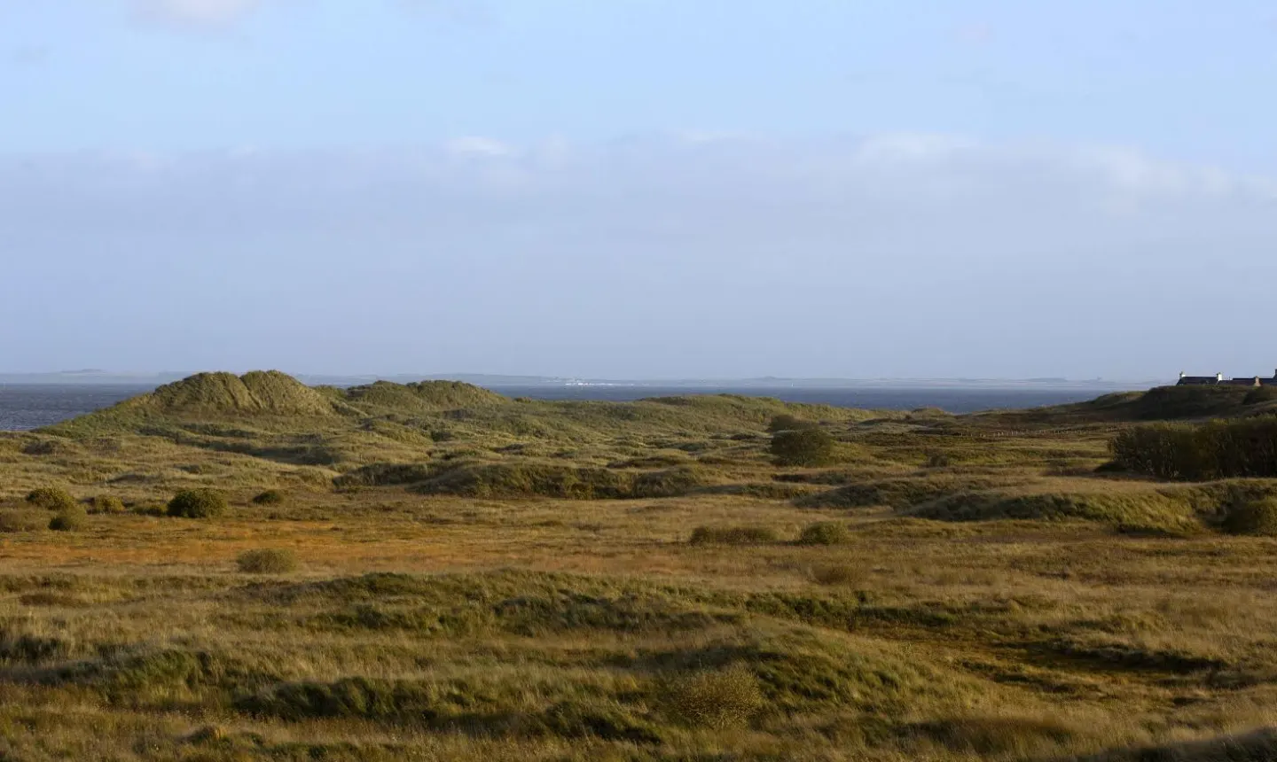 Coul Links Beach golf course