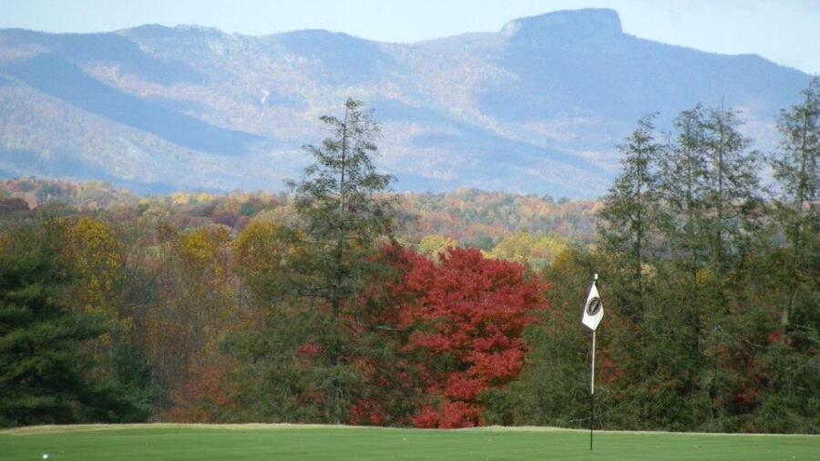 Mimosa Hills GCC: #15