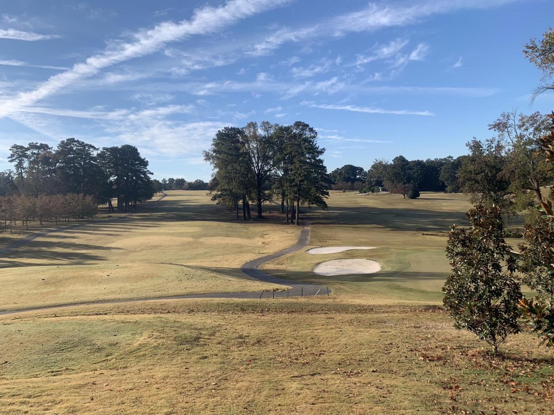 (Photo submitted by lucascalvo on 10/27/2022)