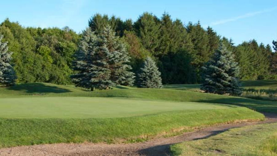 Spring Creek GC: #8