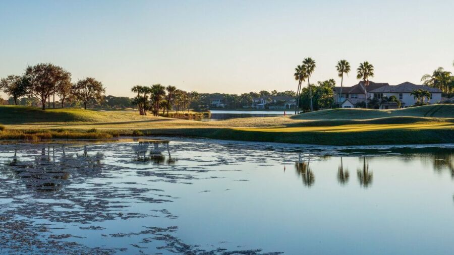 PGA National Resort & Spa - Champion: #17