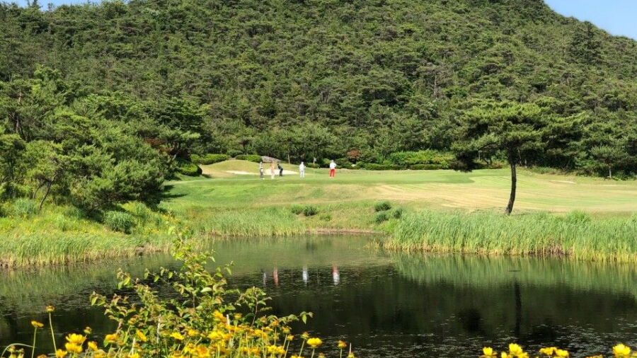 Hampyeong Elite CC - Palace: #4